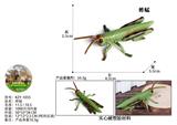 OBL10436027 - 蚱蜢