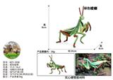 OBL10436030 - 绿色螳螂