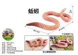 OBL10436033 - 大蚯蚓