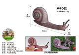 OBL10436036 - 单只蜗牛D