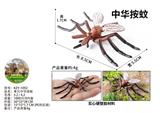 OBL10436037 - 单只中华按蚊