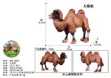 OBL10436050 - 大骆驼
