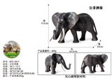 OBL10436054 - 公非洲象