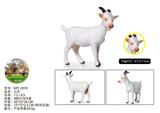 OBL10436061 - 山羊