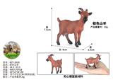 OBL10436062 - 棕色山羊