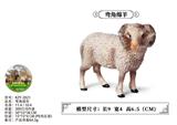 OBL10436063 - 弯角绵羊