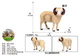 OBL10436064 - 绵羊