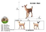 OBL10436075 - 粗面母白尾鹿