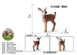 OBL10436076 - 粗面小白尾鹿