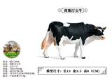 OBL10436078 - 荷斯汀公牛