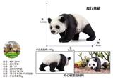 OBL10436086 - 爬行熊猫