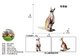 OBL10436087 - 母袋鼠