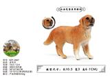 OBL10436089 - 金毛犬