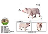 OBL10436090 - 母猪