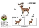 OBL10436099 - 粗面公梅花鹿