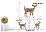 OBL10436100 - 粗面母梅花鹿