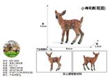 OBL10436101 - 粗面小梅花鹿