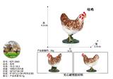 OBL10436107 - 母鸡