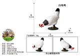 OBL10436108 - 白母鸡