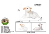 OBL10436115 - 美利奴羔羊
