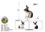 OBL10436117 - 黑兔子