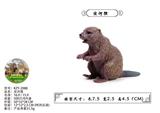 OBL10436129 - 坐河狸