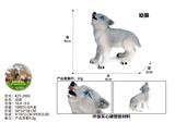 OBL10436133 - 幼狼