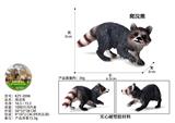 OBL10436139 - 爬浣熊