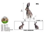 OBL10436140 - 野兔