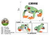 OBL10436142 - 小红眼树蛙