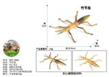 OBL10436166 - 竹节虫