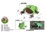 OBL10436168 - 达尔文蛙