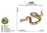 OBL10436172 - 响尾蛇