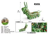 OBL10436178 - 老虎虫