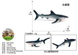 OBL10436238 - 小蓝鲨