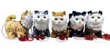 OBL10438953 - Electric animal