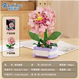 OBL10439956 - Puzzle