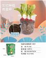 OBL10449572 - 樱桃萝卜种植杯