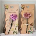 OBL10451073 - Boutique / Gift Series