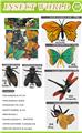 OBL10453097 - Animaltoys