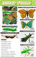 OBL10453098 - Animaltoys