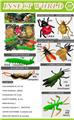 OBL10453099 - Animaltoys