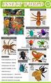 OBL10453102 - Animaltoys