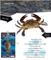 OBL10453127 - Animaltoys