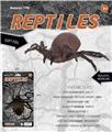 OBL10453131 - Animaltoys