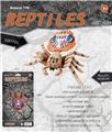 OBL10453146 - Animaltoys