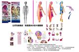 OBL10454661 - Doll