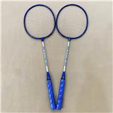 OBL10454838 - PINGPONG BALL/BADMINTON/Tennis ball