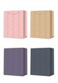OBL10456217 - 四款中号凹凸礼品袋