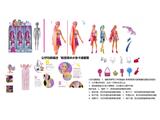 OBL10458933 - Doll